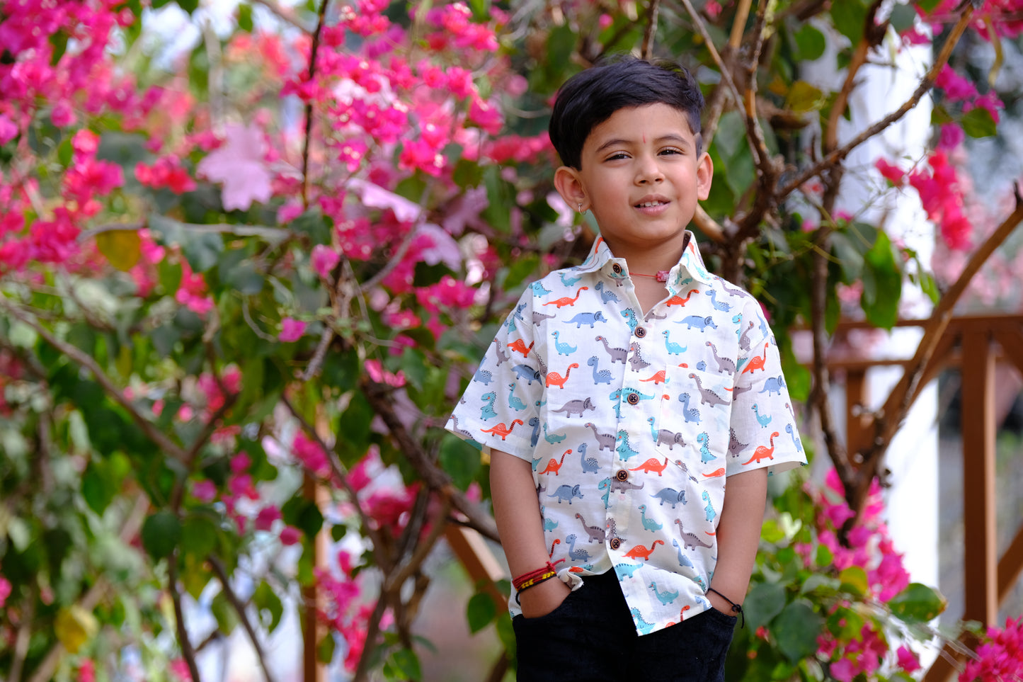 Cool dinosaur print shirts