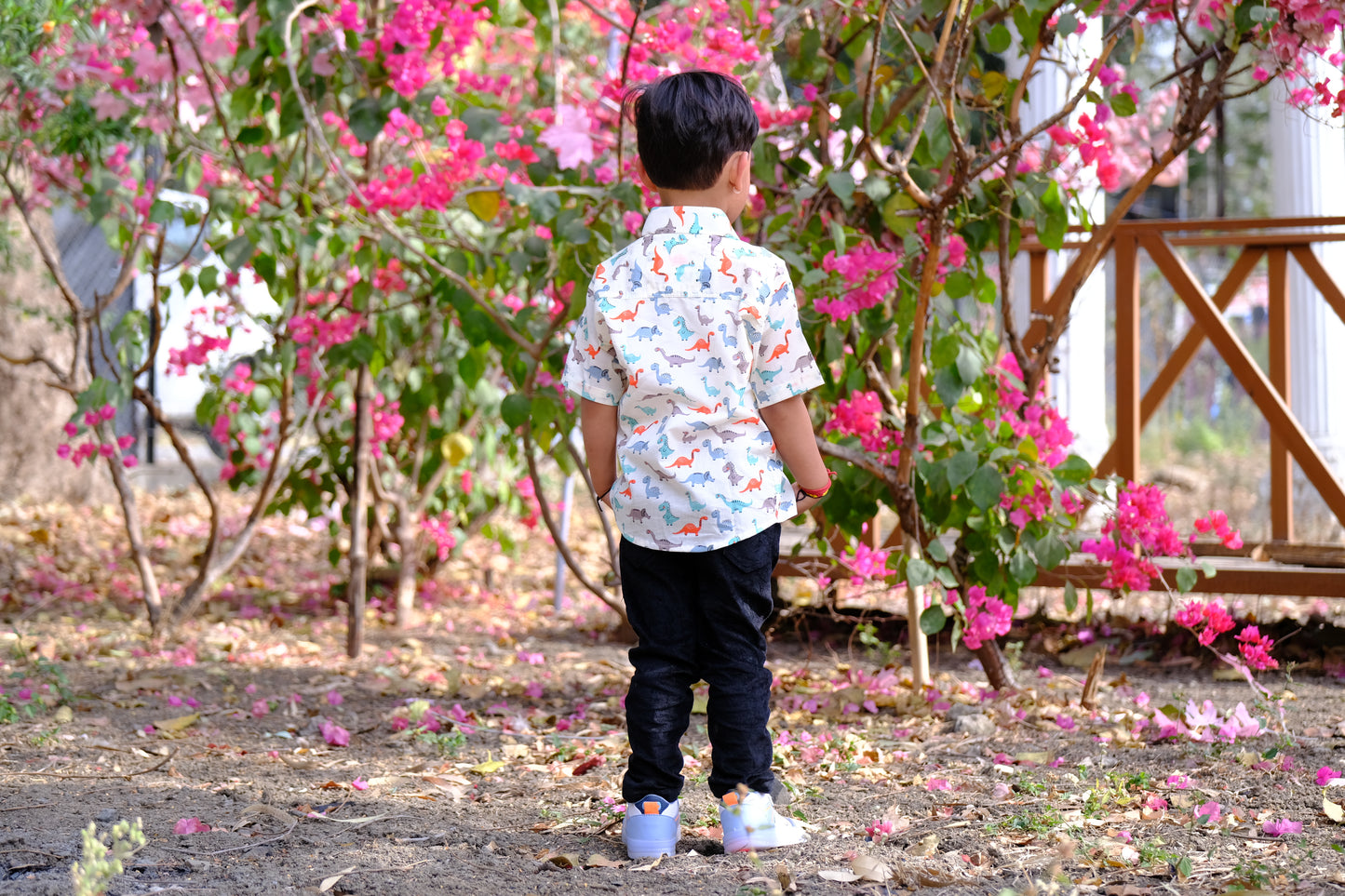 Cool dinosaur print shirts