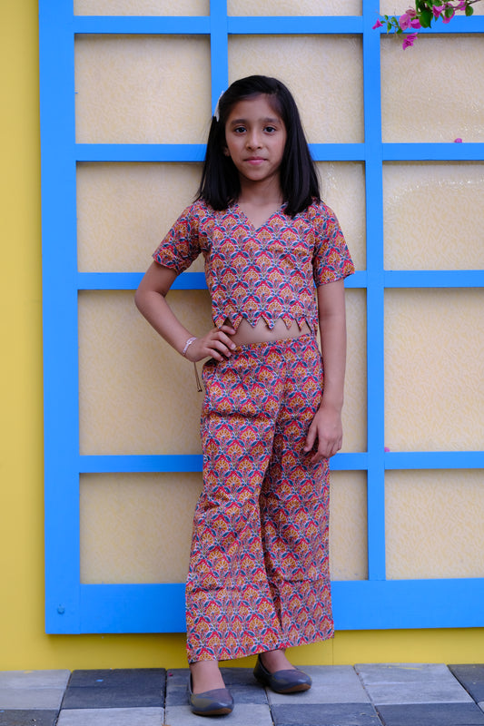 Jaipuri Floral Printed co-ord set